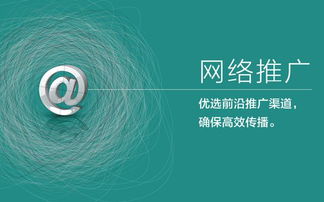 江蘇搜索引擎網(wǎng)絡(luò)推廣系統(tǒng)服務(wù)公司